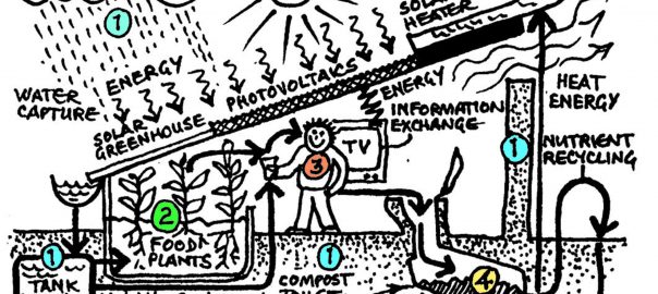 Should programs in architecture, urban design, and landscape architecture require a certain minimum level of learning about the fundamentals of ecology? Why?