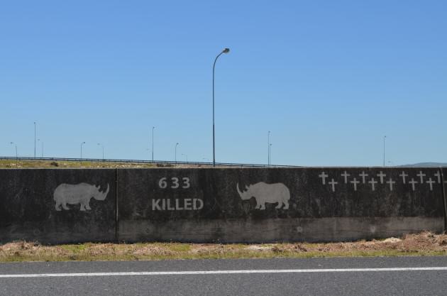 Rhinos II
