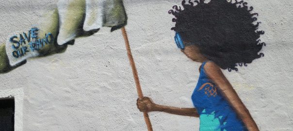 What Does Urban Nature-Related Graffiti Tell Us? A Photo Essay from the City of Cape Town