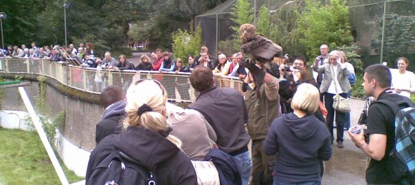 What Is the Point of Zoos?