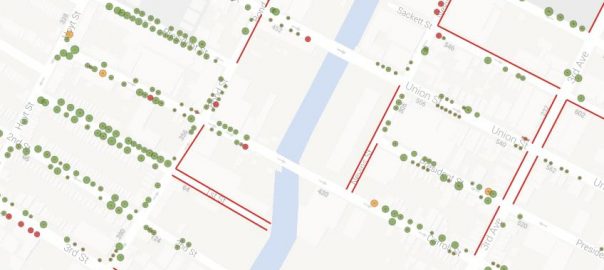 Three M’s for Empowering Volunteer Urban Foresters: Mobilizing, Mapping, and Monitoring