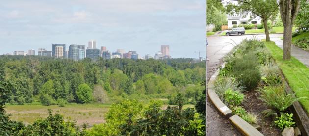 LEFT: Urban natural areas such as 160-acre Oaks Bottom Wildlife Refuge in downtown Portland provide multiple ecosystem services including maintaining biodiversity (more than 100 species of birds have been recorded at Oaks Bottom) in the heart of the city, multiple passive recreational opportunities, waster quality benefits, floodplain storage, and environmental education. RIGHT: At the other range of the size spectrum built green infrastructure like this curb extension not only protects the city's $1.44 billion investment in its Combine Sewer Overflow program by keeping stormwater out of the city's grey, piped system but also create a more aesthetic green street and contributes to traffic calming, improving quality of life in the neighborhood.