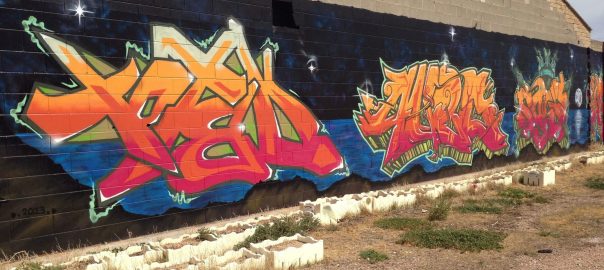Graffiti on the Path and the Nature of Public Space