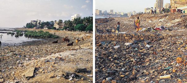 Ecology Rights and City Development Plans: The Case of Mumbai
