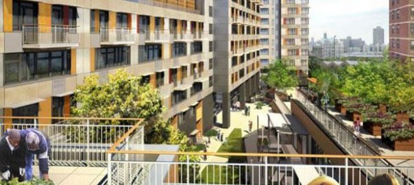 The sky is the limit for urban agriculture. Or is it? What can cities hope to get from community gardens and urban agriculture?