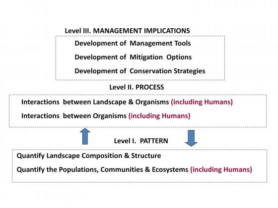 Fig. 4 The relationship between science (Level 1 and Level 2) and effective ecological conservation, management and restoration (Level 3). It is difficult to achieve useful and effective outcomes in Level III without good information in Levels II and I.