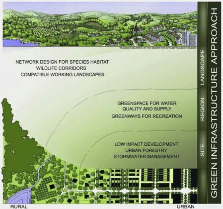 Green Infrastructure design across an urban-rural-wildlands continuum.