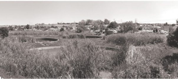 Sweet by Nature: African Cities and the Natural World