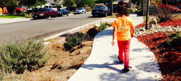 Environmental education in cities focuses on youth and community development, restoring ecosystems, building green infrastructure, and more. But is urban environmental education really anything new? What should its goals and practices look like?
