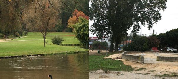 What Do People See in the Landscape? The Metamorphosis of Ecosystem Services After Disaster