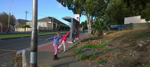 Driving Social and Ecological Change: My Experiment with Guerilla Gardening