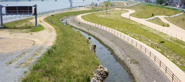 Ecological Landscape Design for Urban Biodiversity, Ecological Education and Nature Restoration in Kyushu, Japan