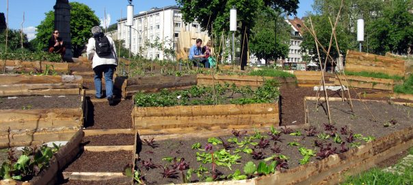 Is There Any Type of Urban Greenspace that Addresses the Urban-Rural Continuum? Urban Agriculture