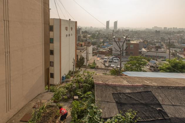 Gardens fill nearly every piece of unused public and private land in the Daedong neighborhood in South Korea. Photo: Patrick M. Lydon
