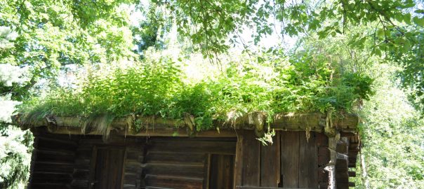 The New Is Well Forgotten Old: Scandinavian Vernacular Experience on Biodiverse Green Roofs