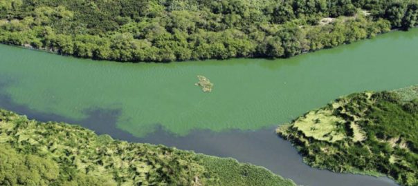A Natural Offset for the Rio 2016 Olympic Park