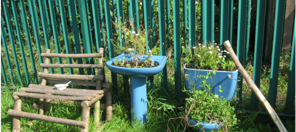 Inviting You to Collaborate with Nature to Transform Your City