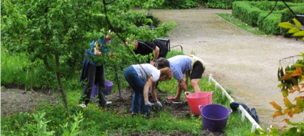 To Grow a Garden, Invest in Organizing