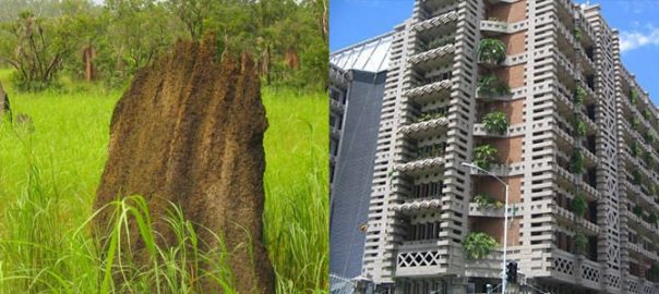 Building Ecological Services: Restoring the Ecosystem Services of the Habitats We Are Replacing with Human Development