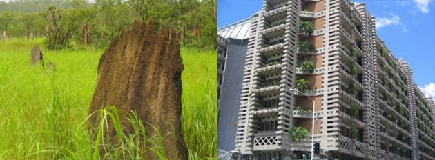 LEFT: Termite mound, Lichfield National Park. Photographer: OzStryker. License: CC Attribution Non-commercial Share Alike RIGHT: Eastgate Center. Photographer: Mandy Patterson. License: CC-by - Attribution