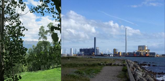 LEFT: Quaking Aspen forest. Courtesy of Whitney Hopkins. RIGHT: Industrial area of Kalundbork, Denmark. Photographer Unknown. License: PD - Public Domain