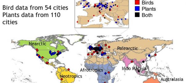 A Study of Biodiversity in the World’s Cities
