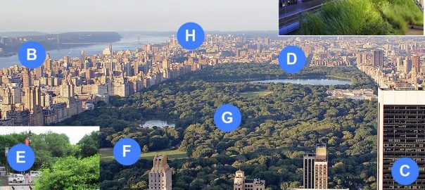 Invisible City Life: The Urban Microbiome