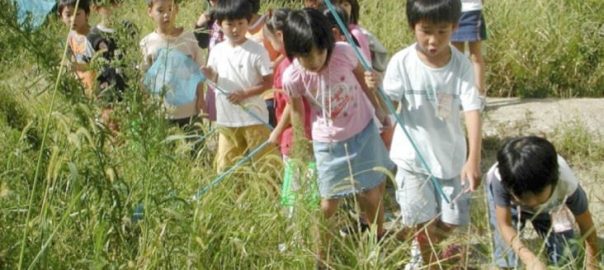 “Growing Place” Revisited: After 12 Years, Children’s Activity in the School Biotope Project