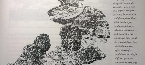Practical Advice for the Design of Greenways