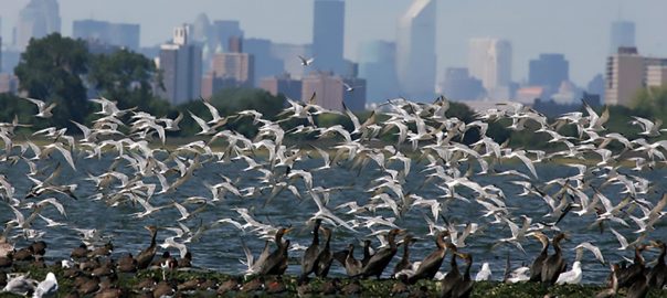 Illuminating New York Harbor