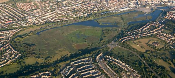 Unintended Consequences Can Be Opportunities for Conservation