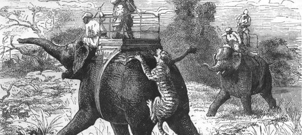 The Wild Beast as the Other: Framing of Urban Wildlife in Popular Imagination