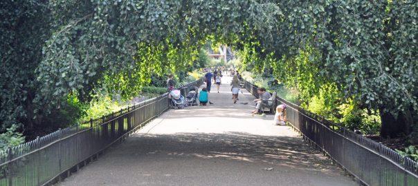 Lessons from Britain’s Urban Nature Movement