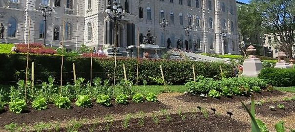 Apples and Tomatoes: Comparing Community Gardens and Municipally Sponsored Urban Agriculture