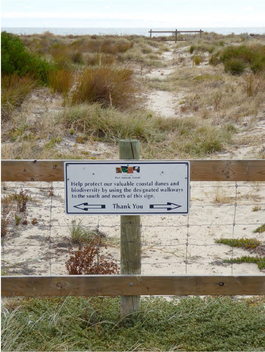 Non-human species do sometimes get consideration in urban planning and management; in this case the City of Port Adelaide Enfield seeks help in trying to protect coastal biodiversity.