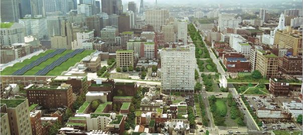 Complex and Useful, Green Is Infrastructure