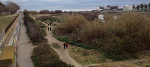 A Tech Touch: Connecting Beaches, Parks, and Big Data