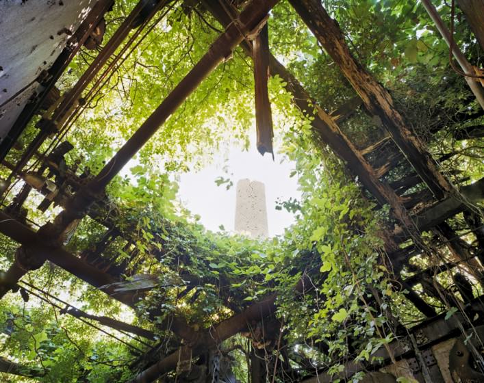Boilerplant Roof Interior, North Brother Island, NY, NY. By (copyright) Christopher Payne