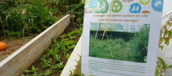 What Is Civic Ecology? 25 Definitions. TNOC Podcast Episode 004
