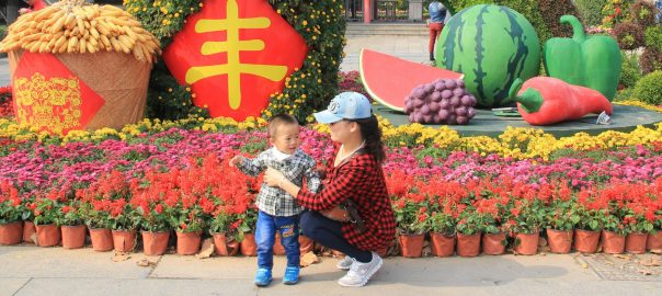 Chinese Urban Green Areas: Classic Gardens to a Globalized Landscape