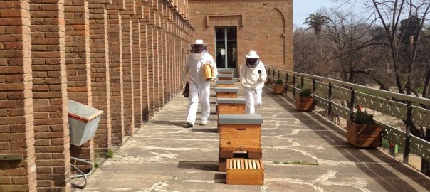 Regulating the Bee Buzz
