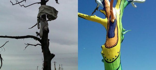 Joplin Tornado Anniversary Marks Civic Ecology Successes