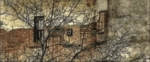 Nature, New York, and the Practice of Paying Attention
