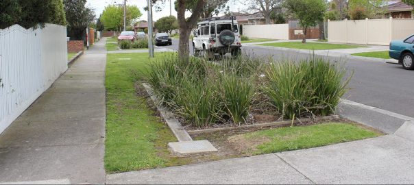 Composing Raingardens in Performing Landscapes