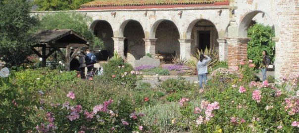 Is There Room for Ornamentals in the Gardens of “New” California?