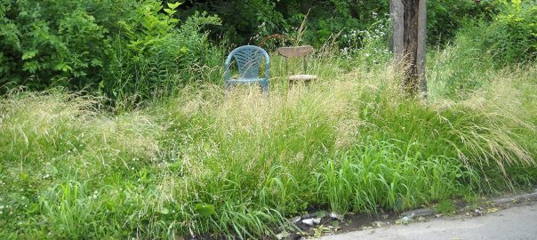 Wild in Detroit: Realizing Opportunity in a New Nature