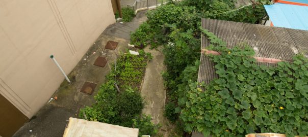 What are “Garden Cities” Without a Garden Culture? How a Cultural Connection with Nature Can Build a Truly Sustainable Future