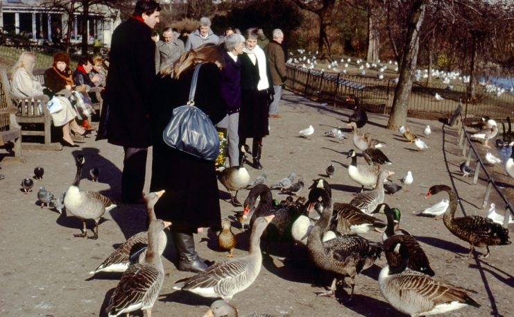 St James's Park