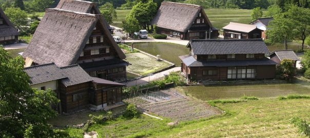 Biocultural Diversity and the Diverse City: A Model for Linking Nature and Culture