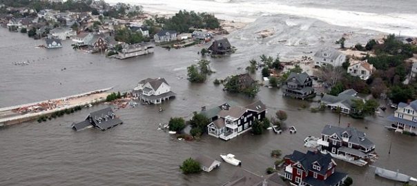 What is the insurance value of urban ecosystems and their services?